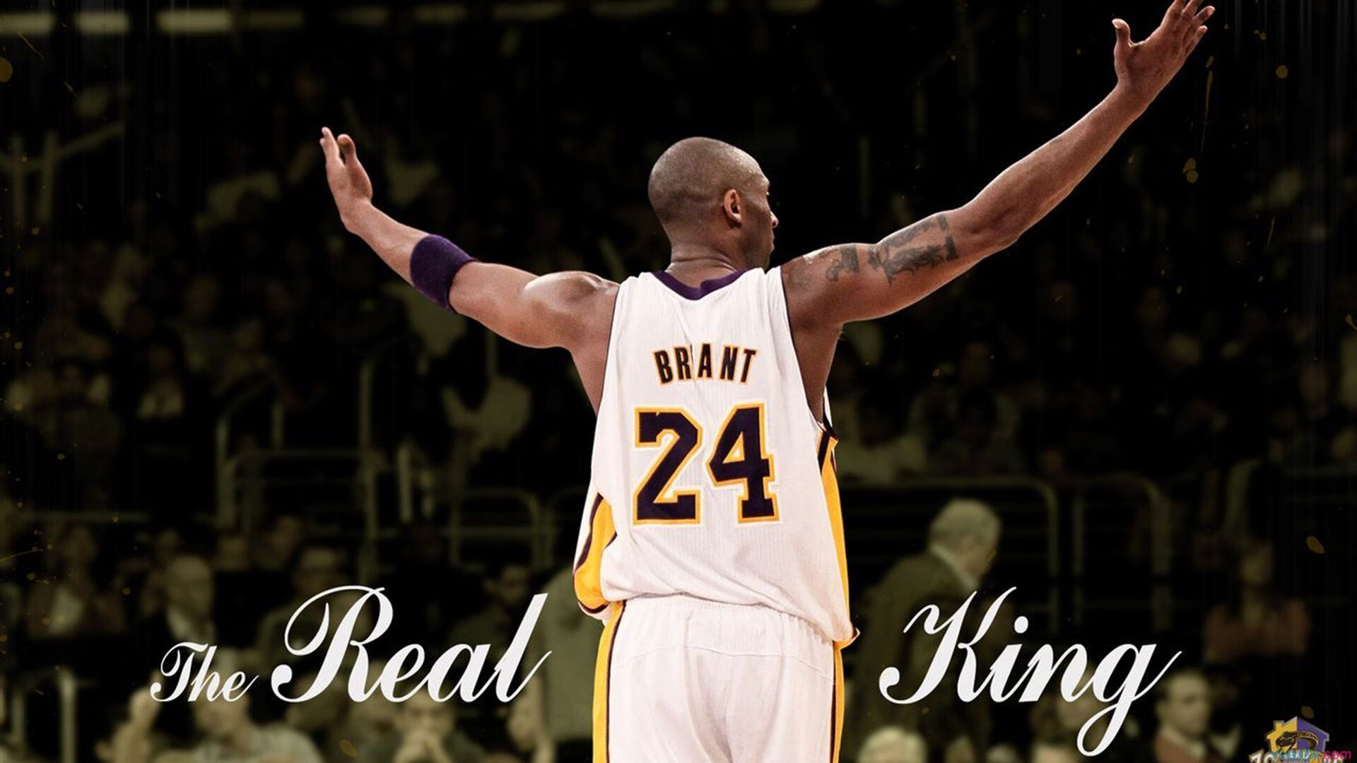 _森林狼士气高昂，迈向季后赛正当时_，森林狼打进季后赛